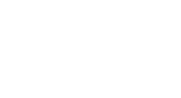 Wordpress Logotype Alternative White